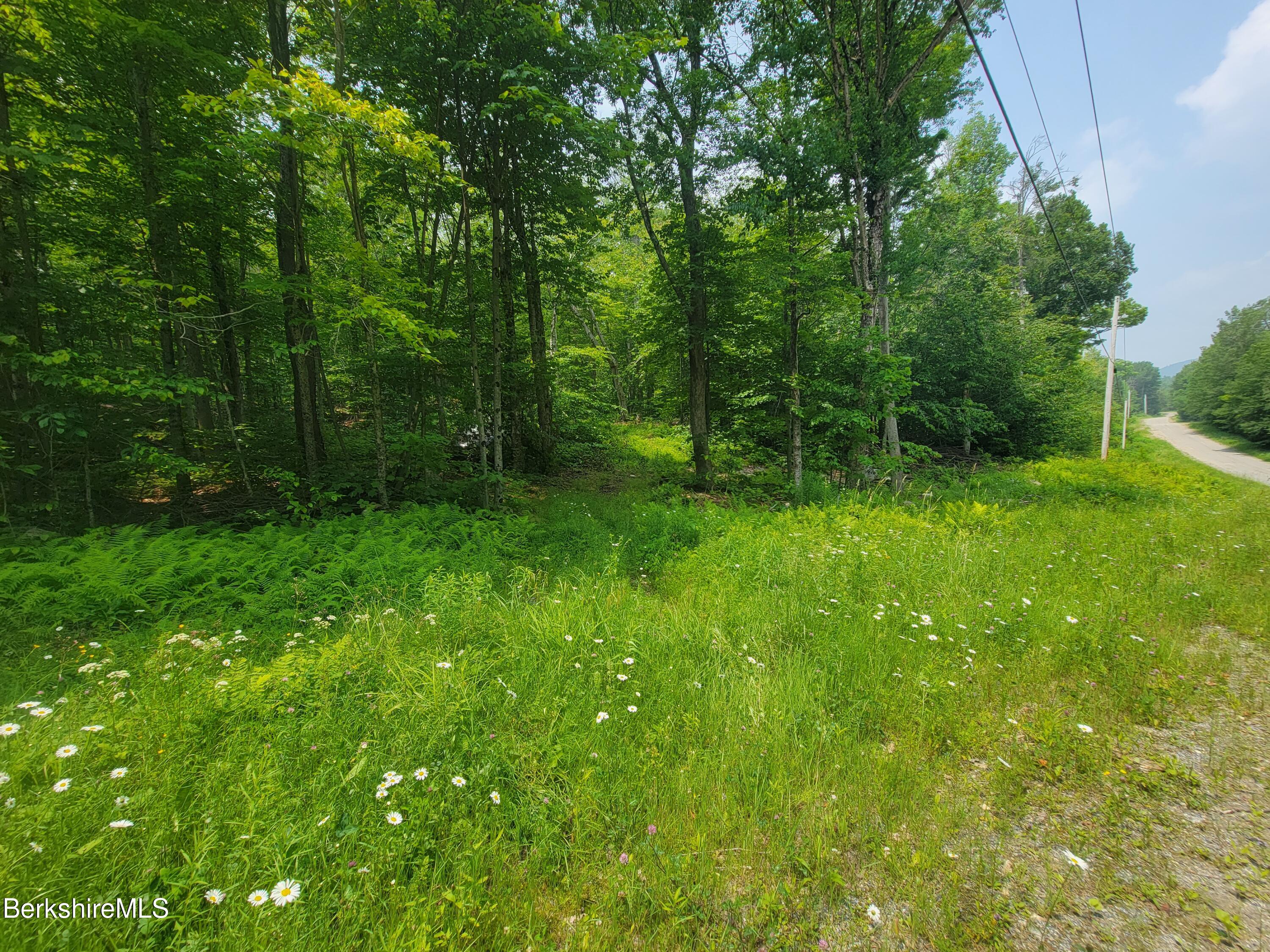 Sparrow Drive Stamford, VT 05352 - Photo 9 of 41 a view of an outdoor space and a yard