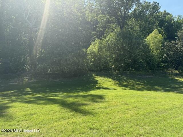 4173 Olivia Circle West Olive Branch, MS 38654 - Photo 23 of 24 IMG_4415