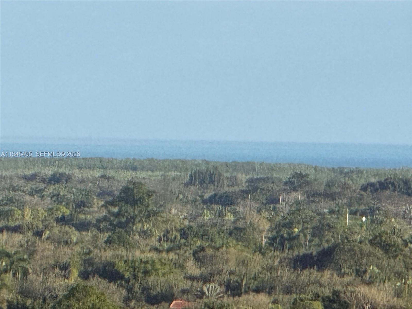 7350 Southwest 89th Street, Unit 1908S Miami, FL 33156 - Photo 5 of 28 an aerial view of residential houses and green space