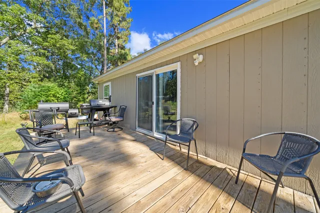 a view of a backyard with plants and large trees