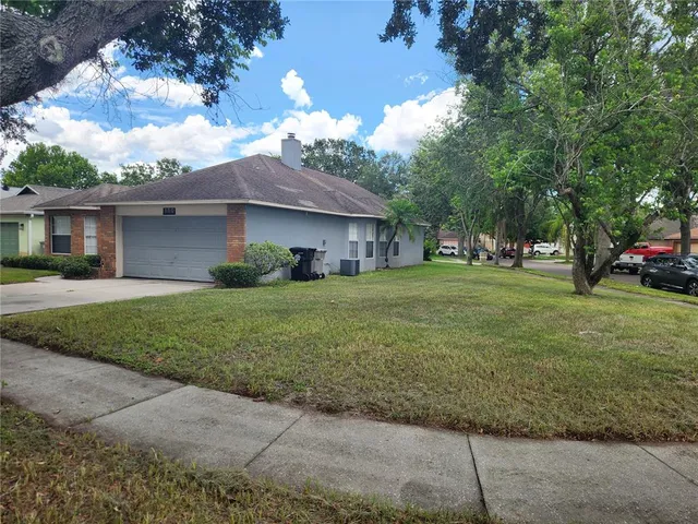 a view of a backyard with a large tree