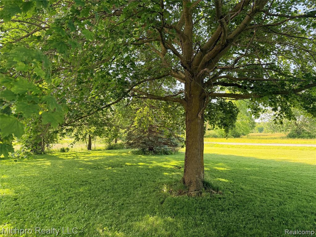 11438 Hill Road Memphis, MI 48041 - Photo 13 of 15
