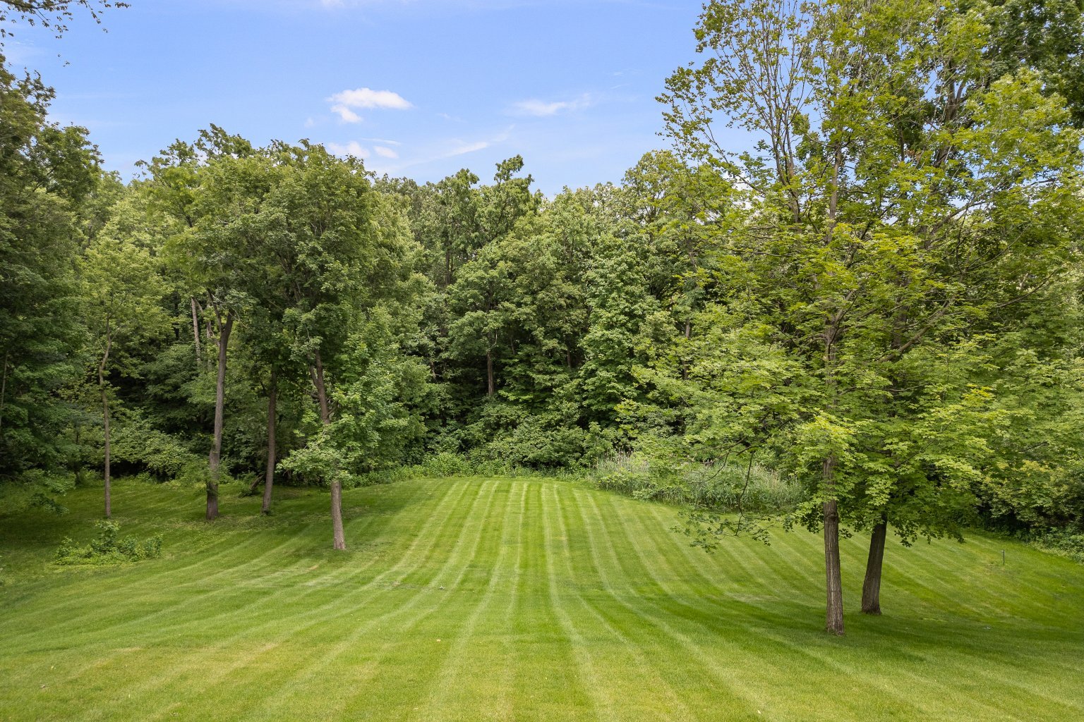 2296 Forest Reed Place Le Claire, IA 52753 - Photo 7 of 77