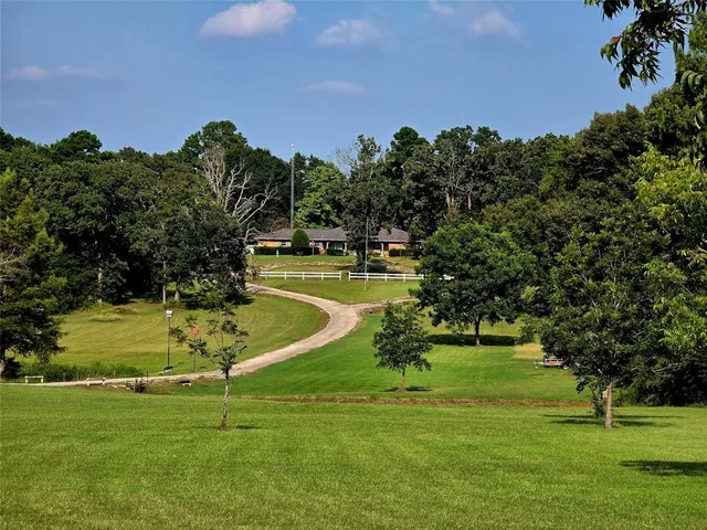 a view of a big yard with a large trees