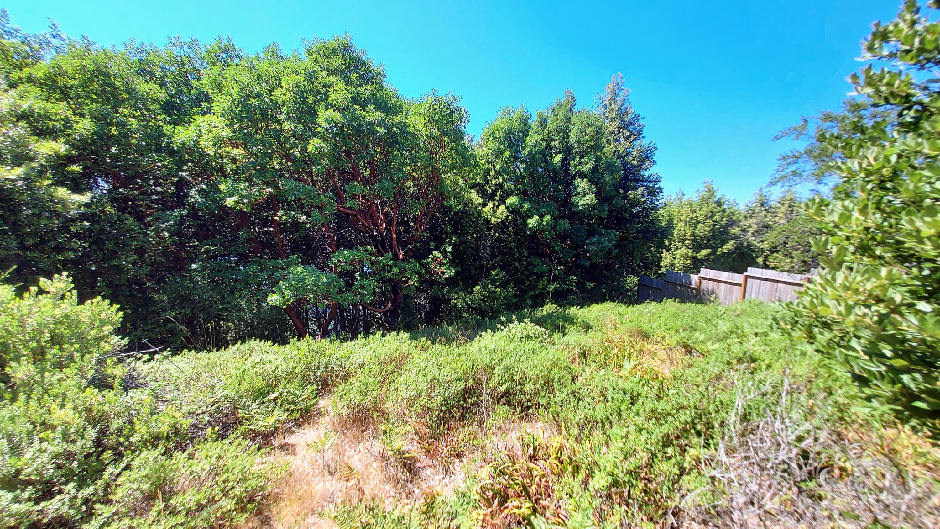 27 Cook Road Shelter Cove, CA 95589 - Photo 5 of 22
