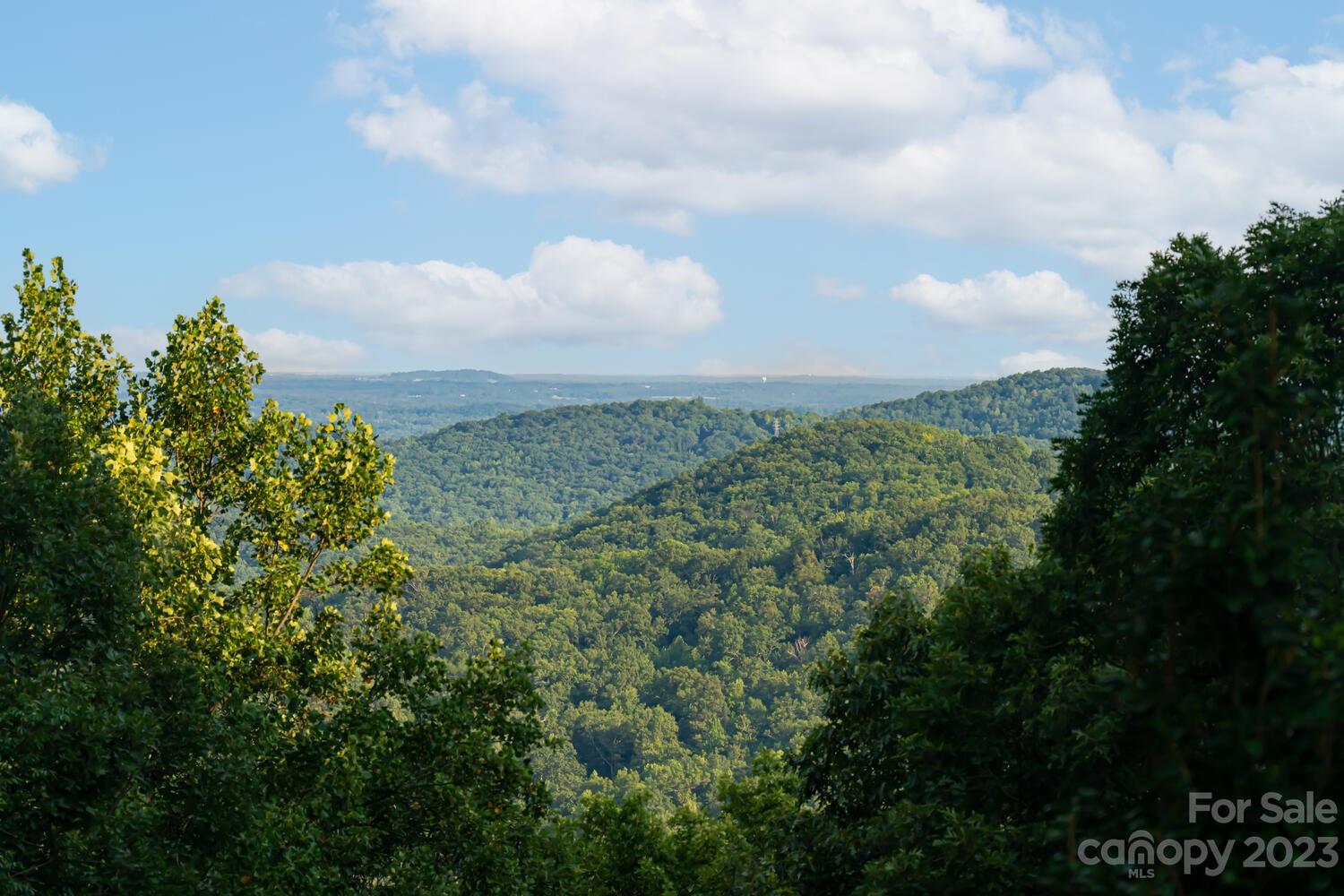 1715 Hogback Mountain Road Tryon, NC 28782 - Photo 2 of 44 a view of a bunch of trees