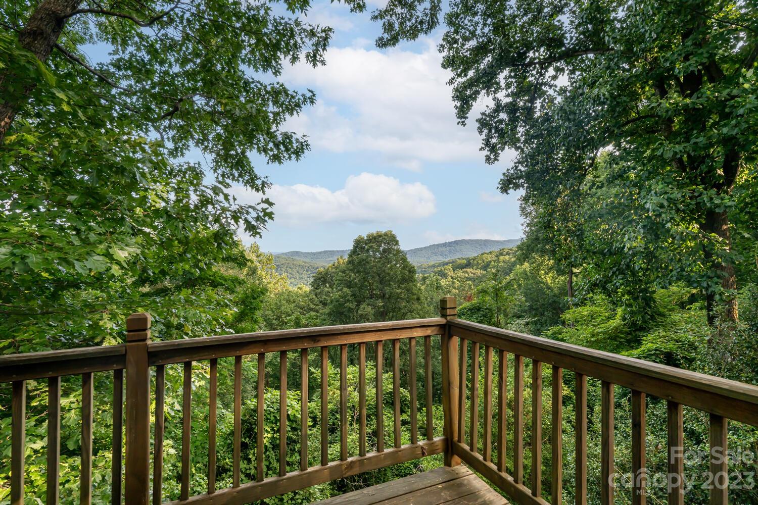1715 Hogback Mountain Road Tryon, NC 28782 - Photo 24 of 44 a city view from a balcony