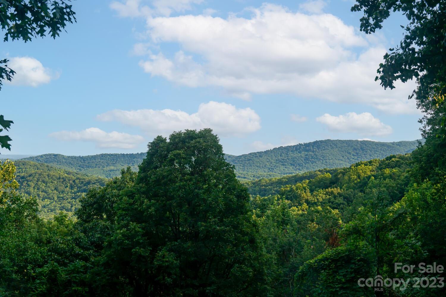 1715 Hogback Mountain Road Tryon, NC 28782 - Photo 42 of 44 a view of a lake and mountain view