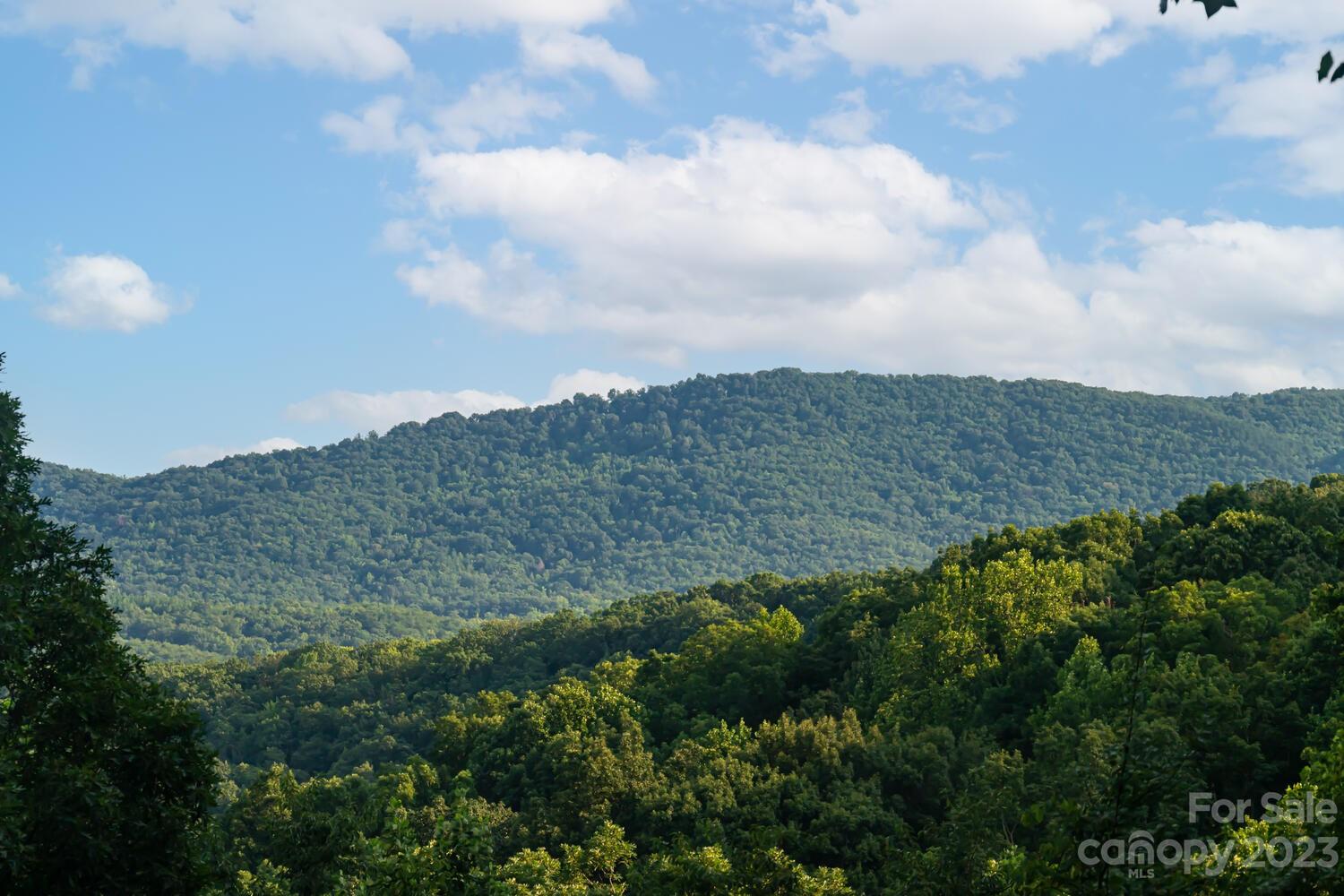 1715 Hogback Mountain Road Tryon, NC 28782 - Photo 43 of 44 a view of a bunch of trees in a field