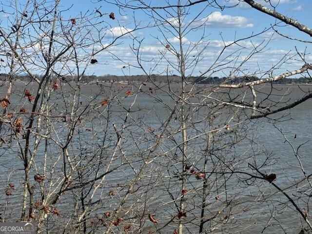 Lot 5 County Rd 531, Unit 5 Centre, AL 35960 - Photo 1 of 3 a view of a dry yard with lots of trees