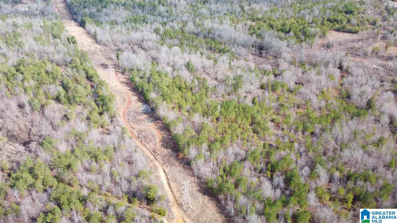 Landmark Road Talladega, AL 35160 - Photo 5 of 8