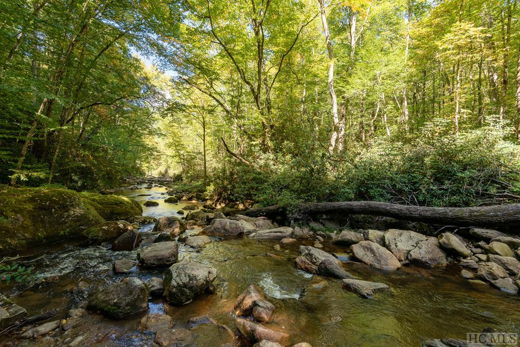 4201 Cullowhee Forest Road Cullowhee, NC 28723 - Photo 37 of 40 Gallery Image 37