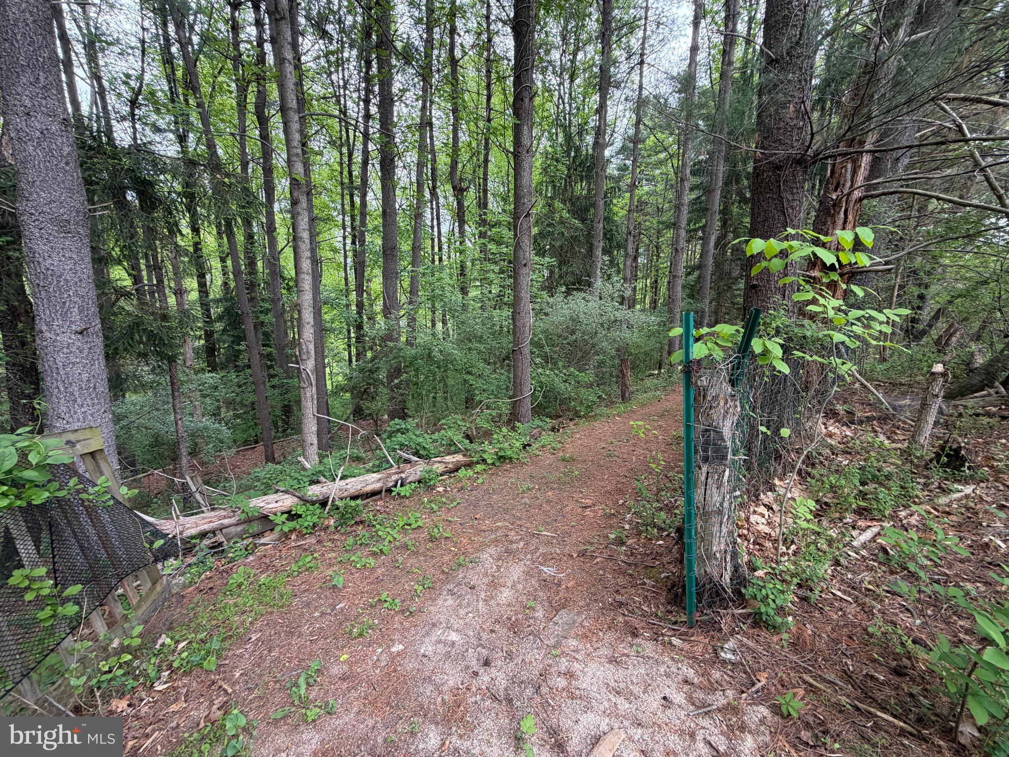 15425 Conrad Spring Road Boyds, MD 20841 - Photo 51 of 58 Private backyard path to explore!