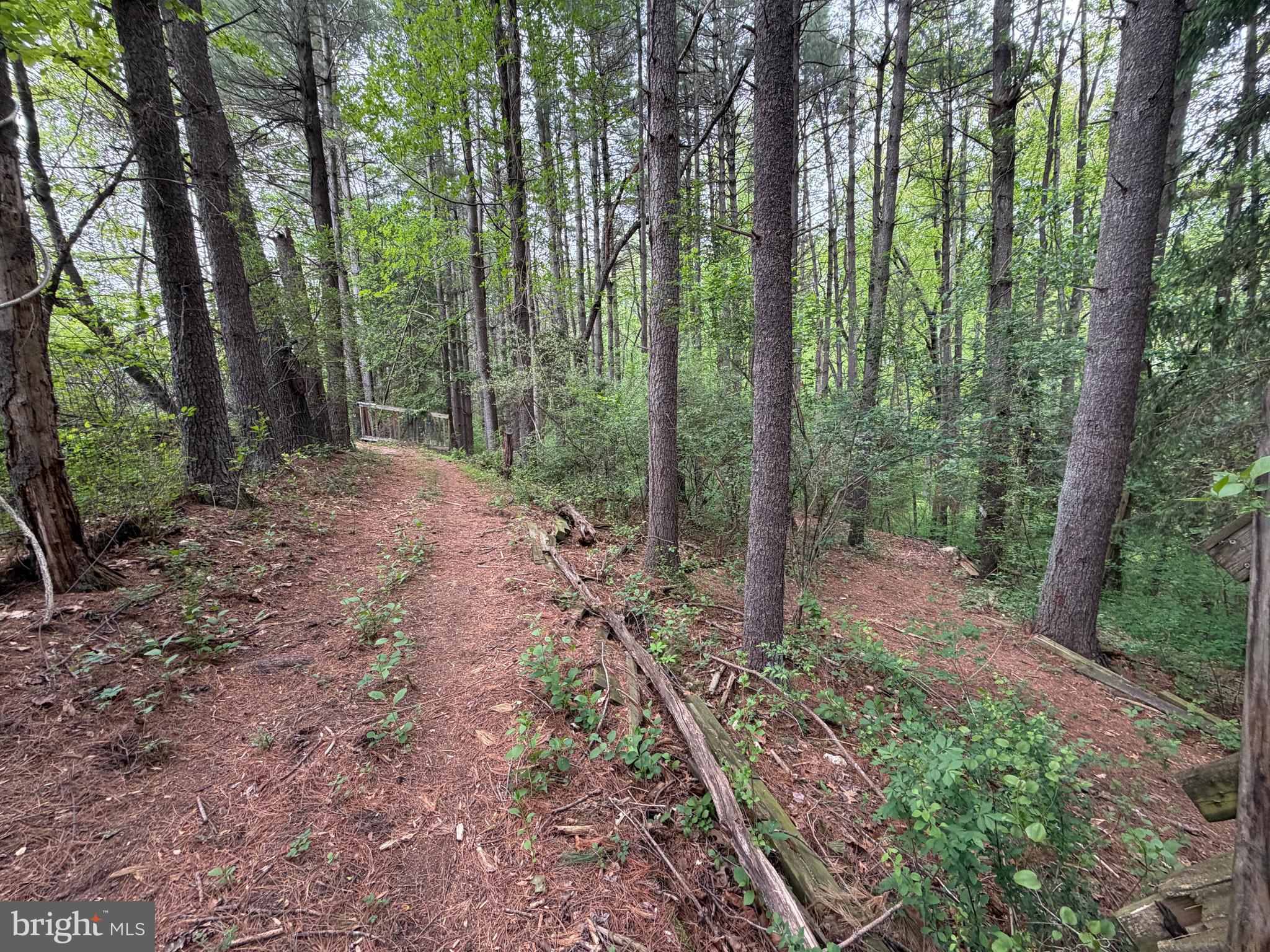 15425 Conrad Spring Road Boyds, MD 20841 - Photo 52 of 58 Private backyard path!