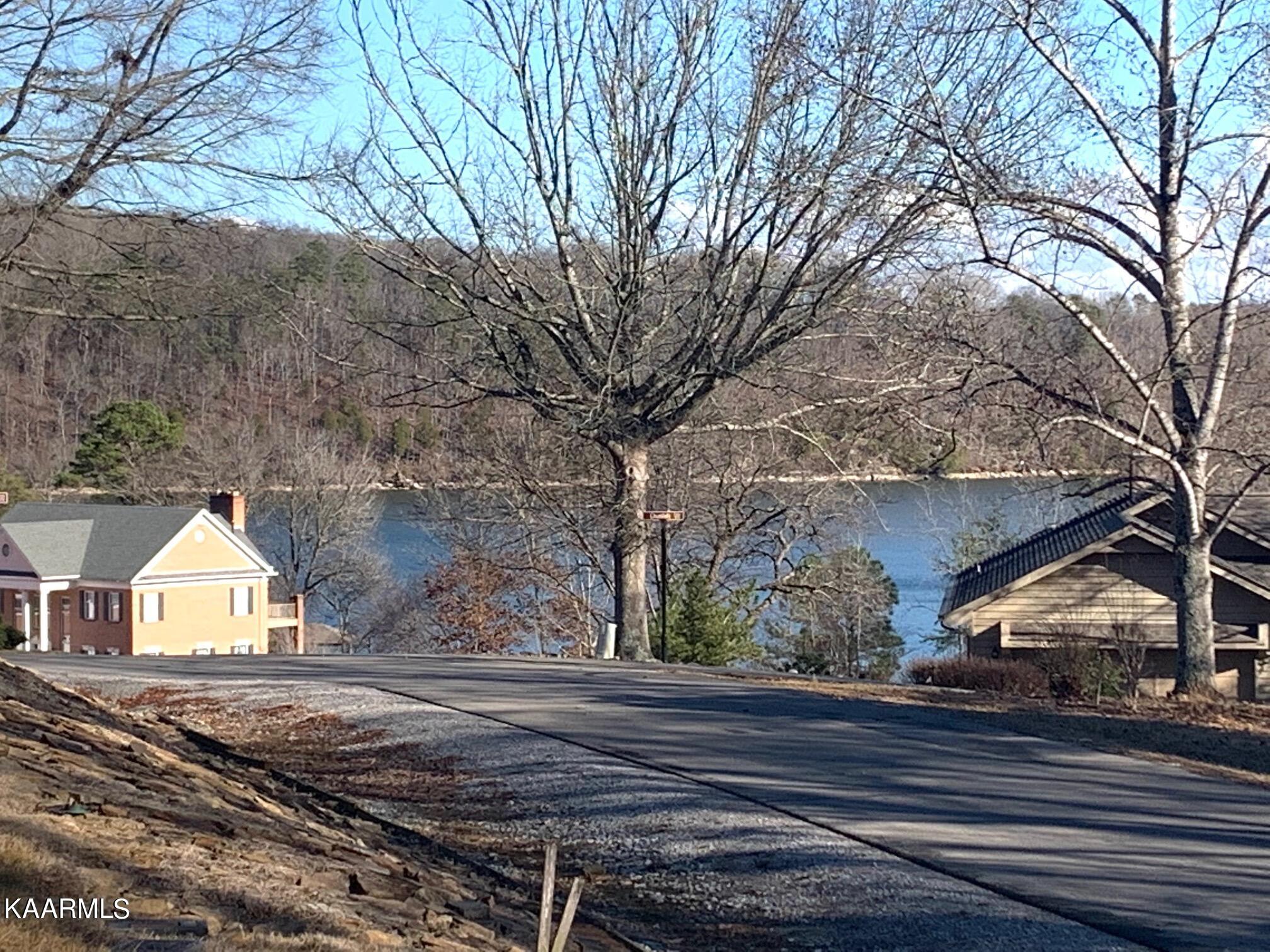 124 Chuniloti Way Loudon, TN 37774 - Photo 18 of 19 View from end of driveway