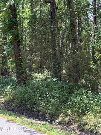 $17,900 | Nhn North Street, Ocean Springs, MS 39564