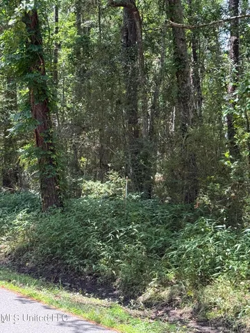 $24,900 | Nhn North Street, Ocean Springs, MS 39564