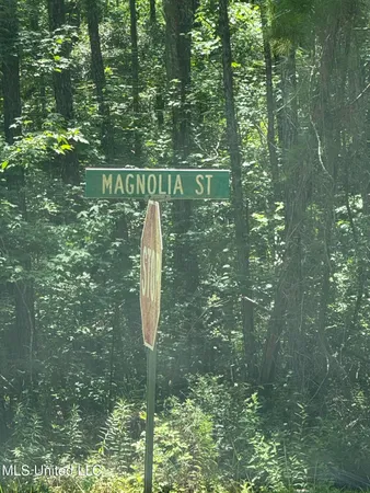 $17,900 | Nhn North Street, Ocean Springs, MS 39564