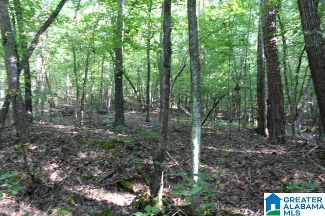 1 Benefield Gap Road Attalla, AL 35954 - Photo 41 of 50