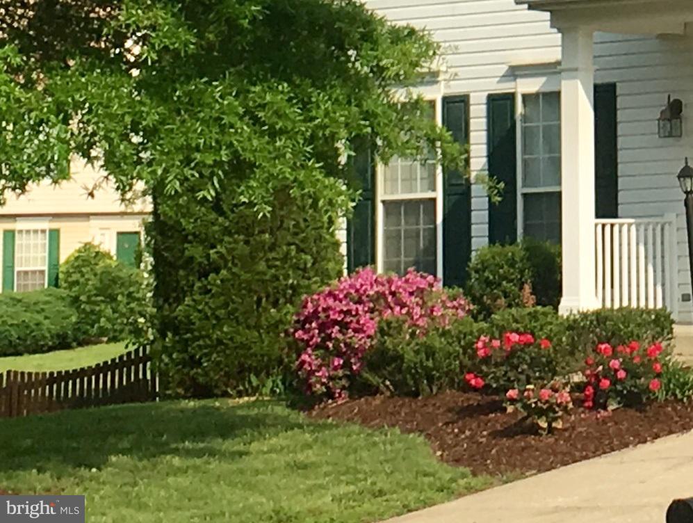 12007 Backus Drive Bowie, MD 20720 - Photo 4 of 75 Spring Azaelas are Gorgeous