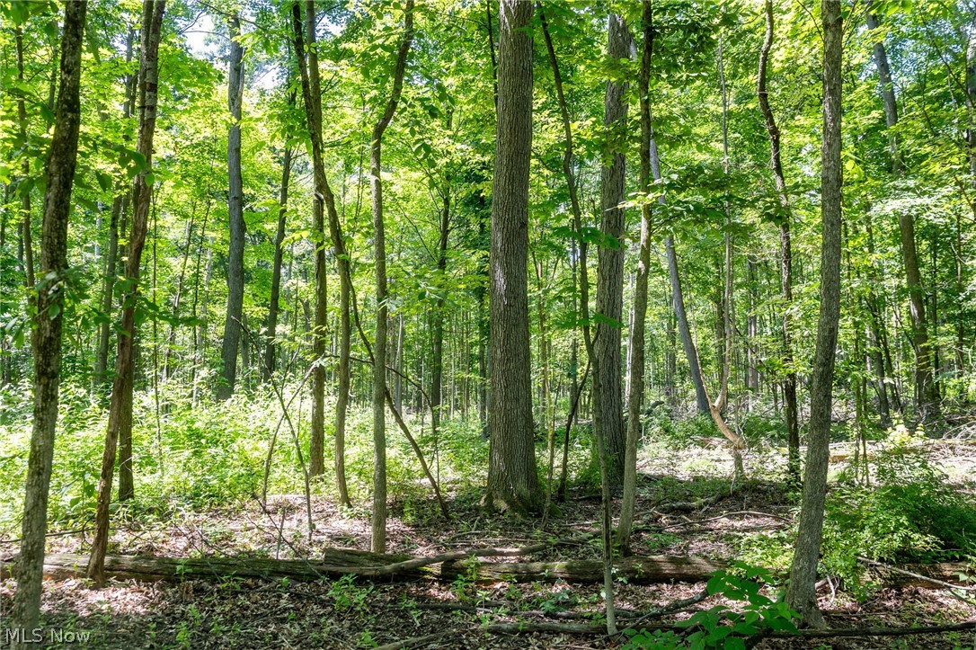 Wayland Road Diamond, OH 44412 - Photo 11 of 20