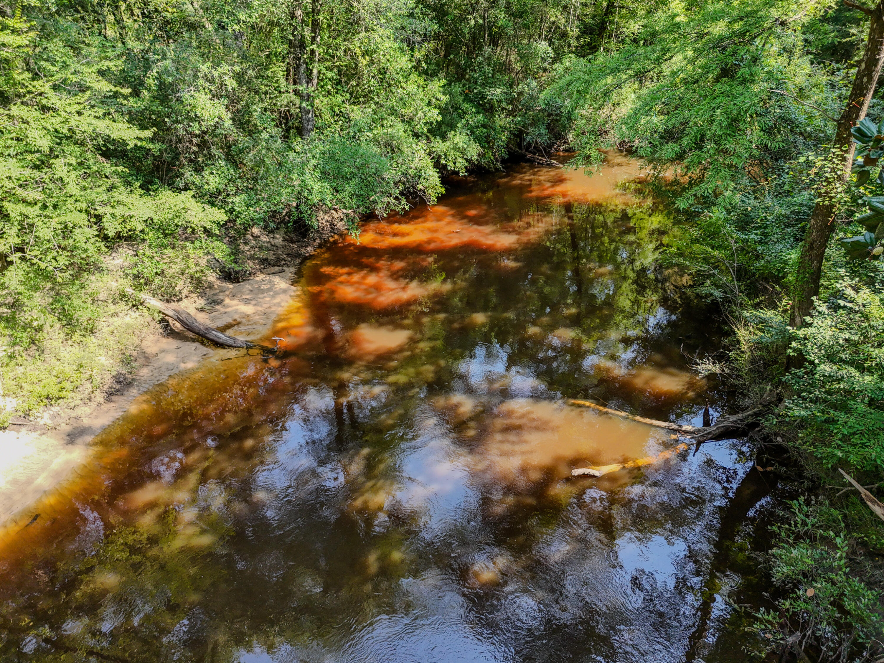 3128 County Road 10 Samson, AL 36477 - Photo 54 of 67 DJI_20260630231938_0048_D