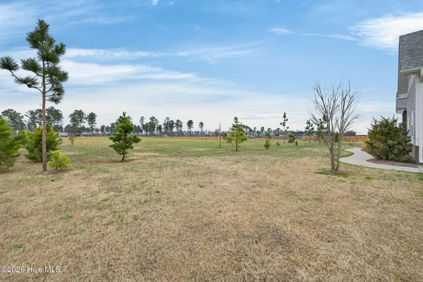 $650,000 | 3032 Piney Woods Road, Willard, NC 28478