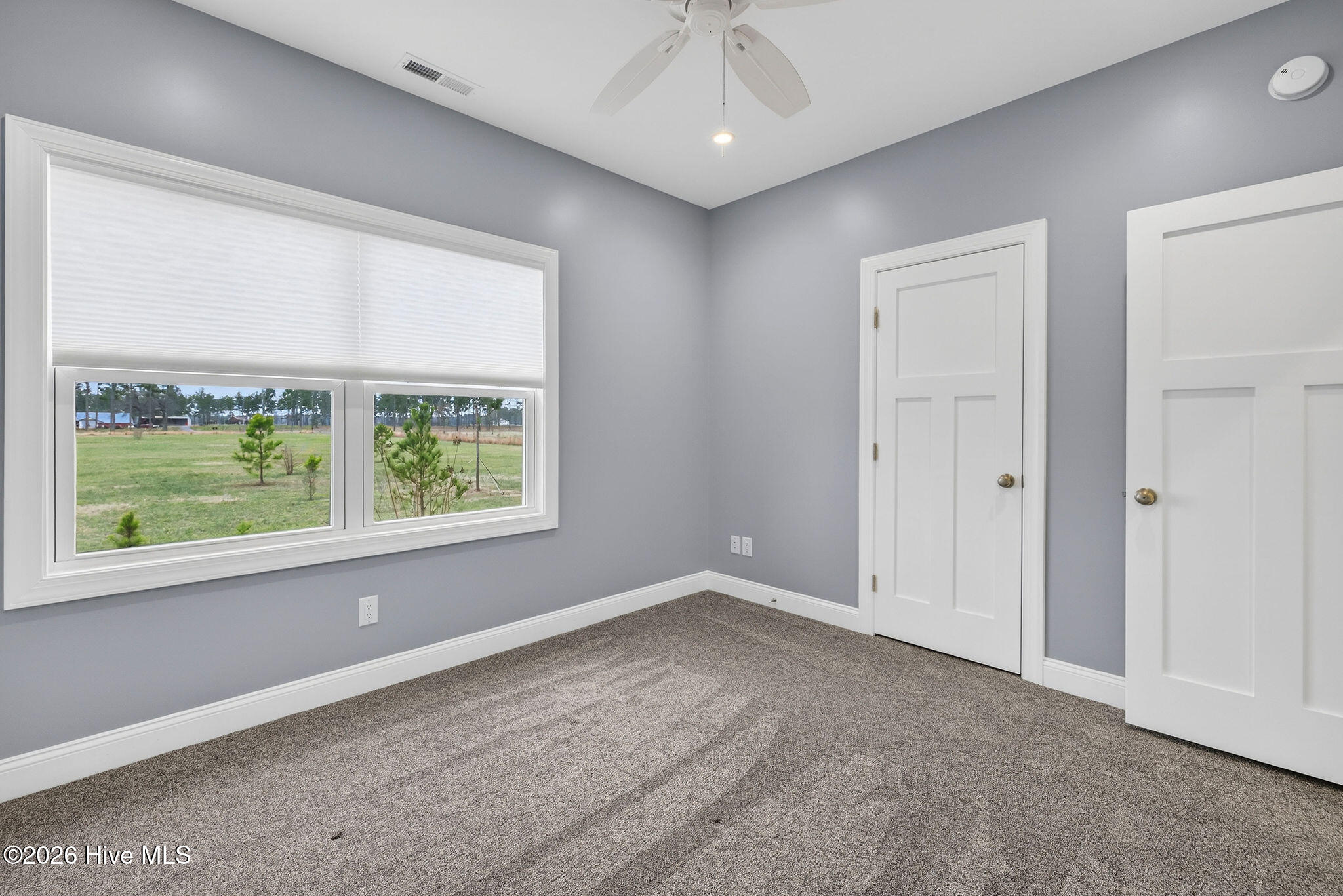 3032 Piney Woods Road Willard, NC 28478 - Photo 8 of 57 3032PineyWoodsRoad-38