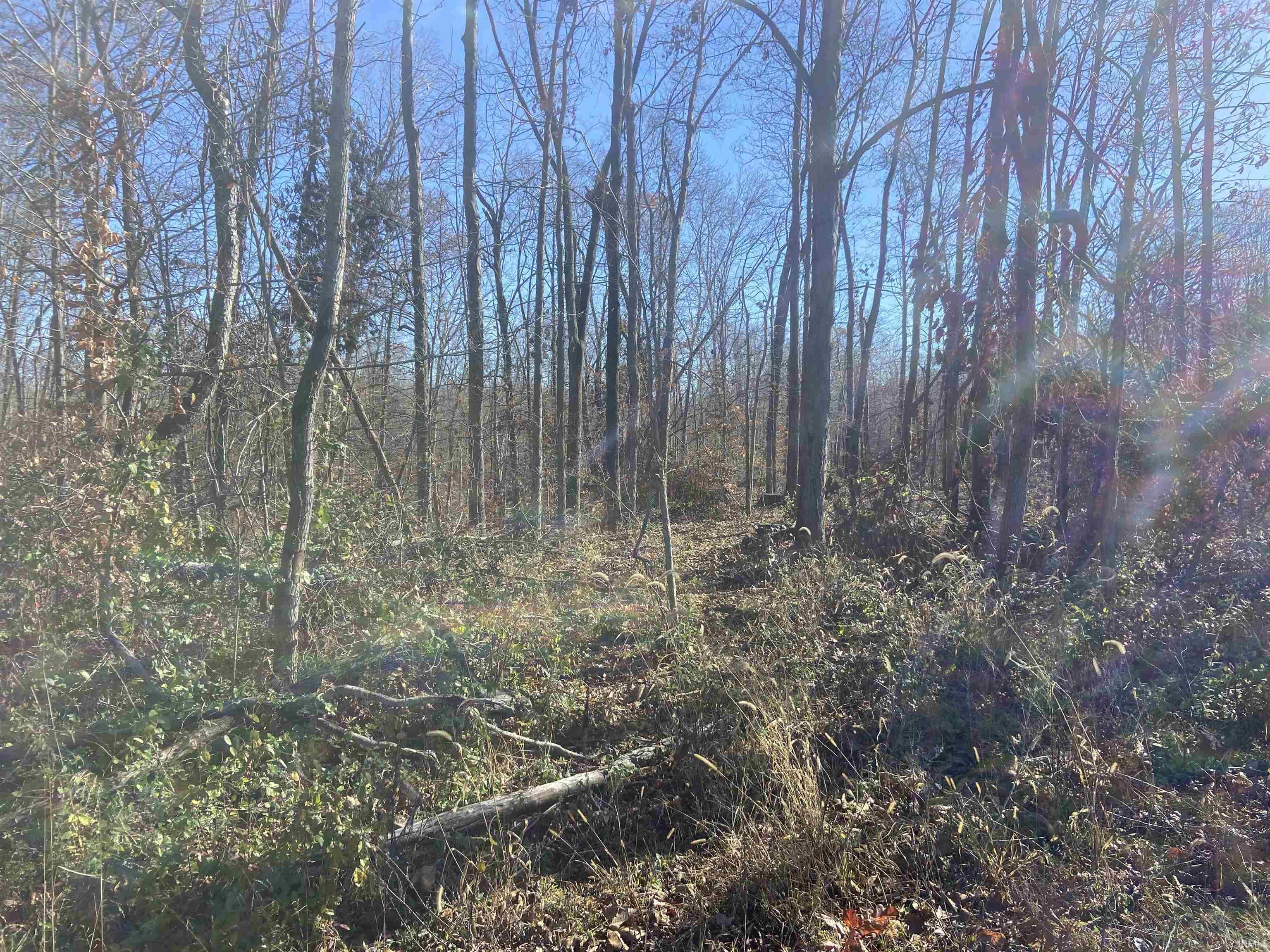 1 State Line West Terre Haute, IN 47885 - Photo 9 of 10