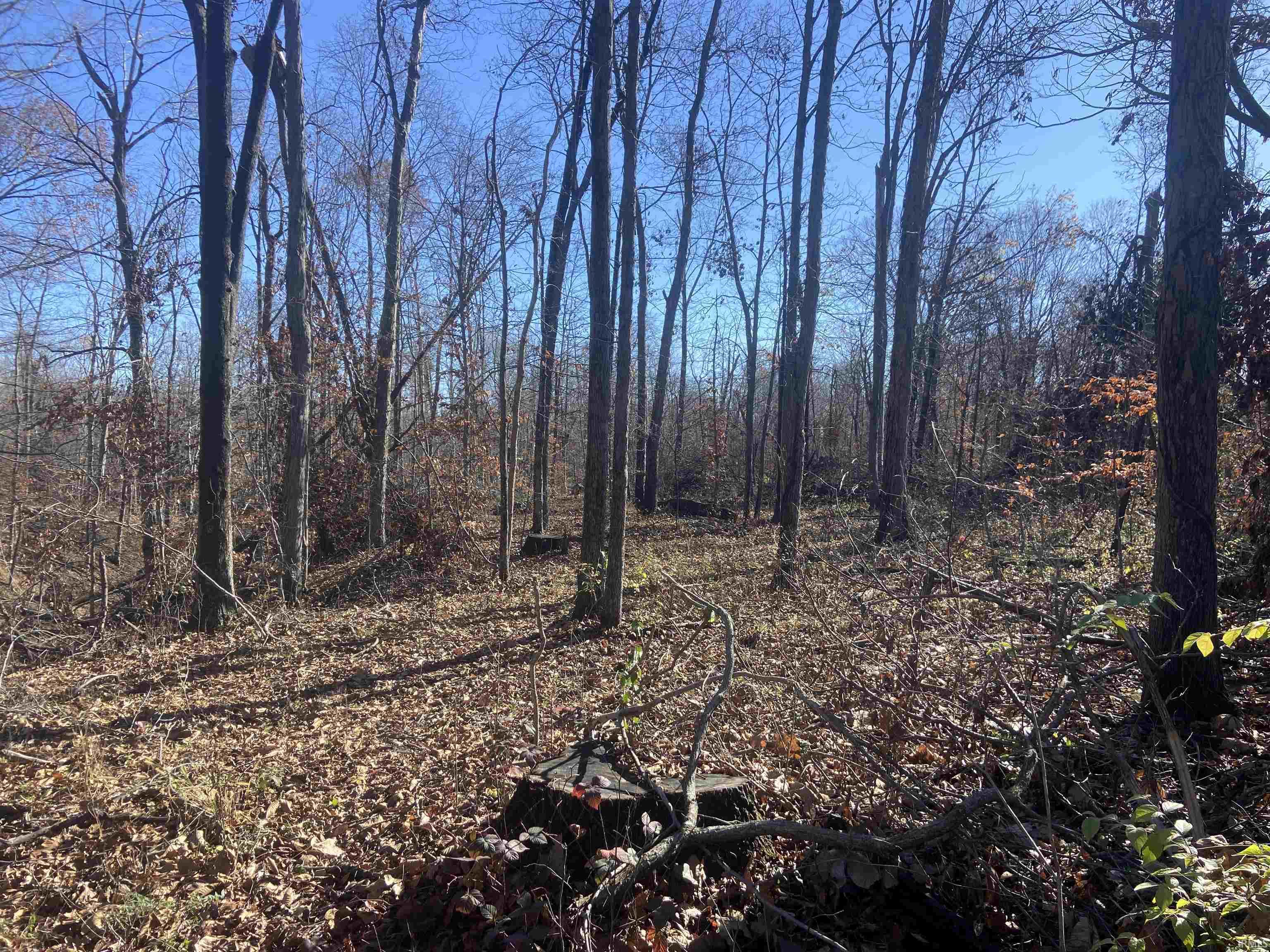 1 State Line West Terre Haute, IN 47885 - Photo 10 of 10