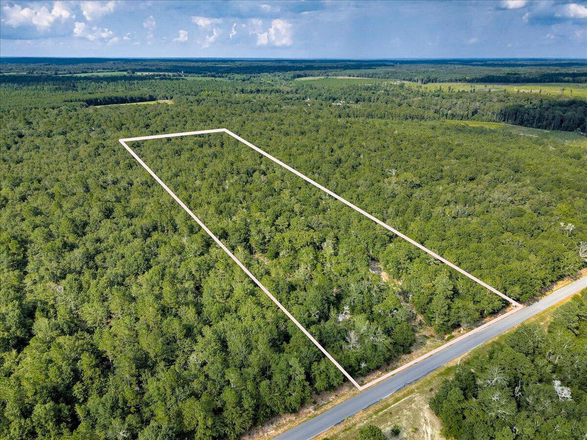 0 Millers Pond Road, Unit 4 Salley, SC 29137 - Photo 2 of 18