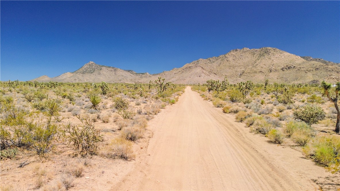 2085 Contented Meadview, AZ 86444 - Photo 11 of 11 a view of a dry yard with mountains in the background
