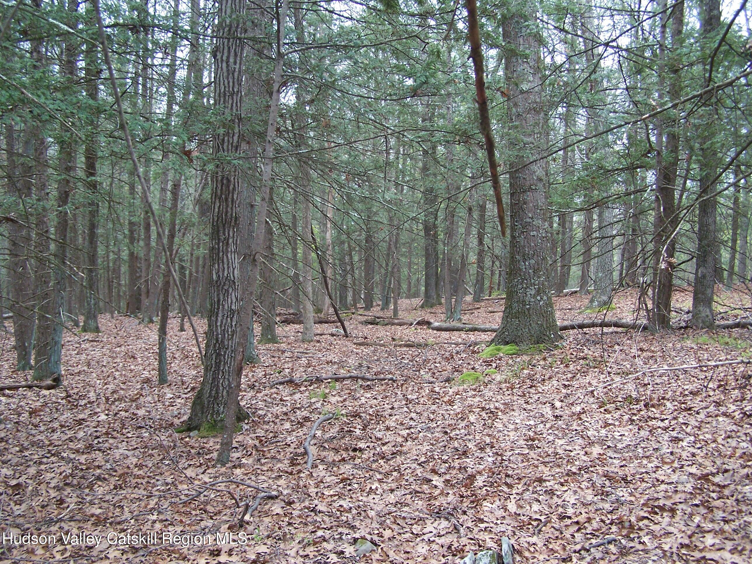 Tbd Heinle Road Kingston, NY 12401 - Photo 8 of 17 Nice Mix Of trees