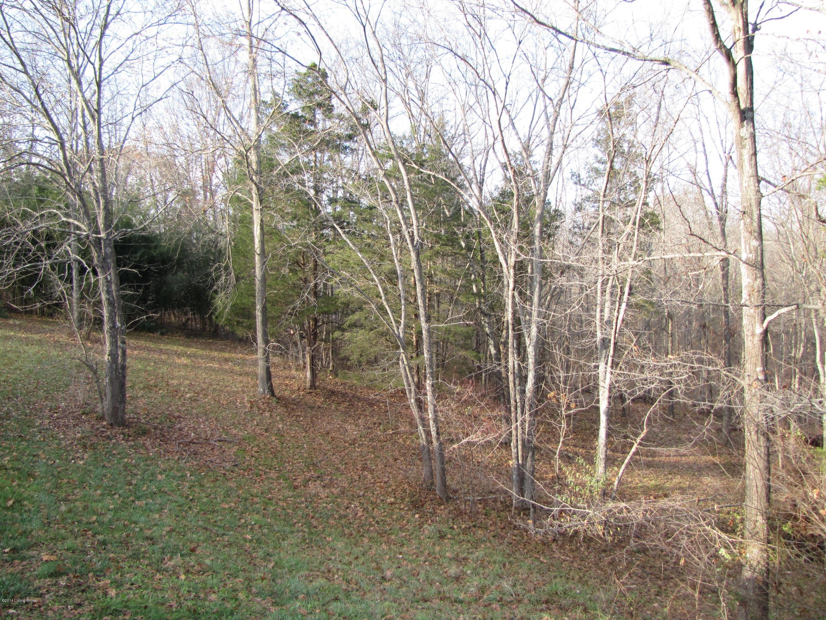 218 Fox Run Road Pendleton, KY 40055 - Photo 34 of 54 Standing on the deck gives a feeling of being right in nature with views of the woods and gently sloping back yard.