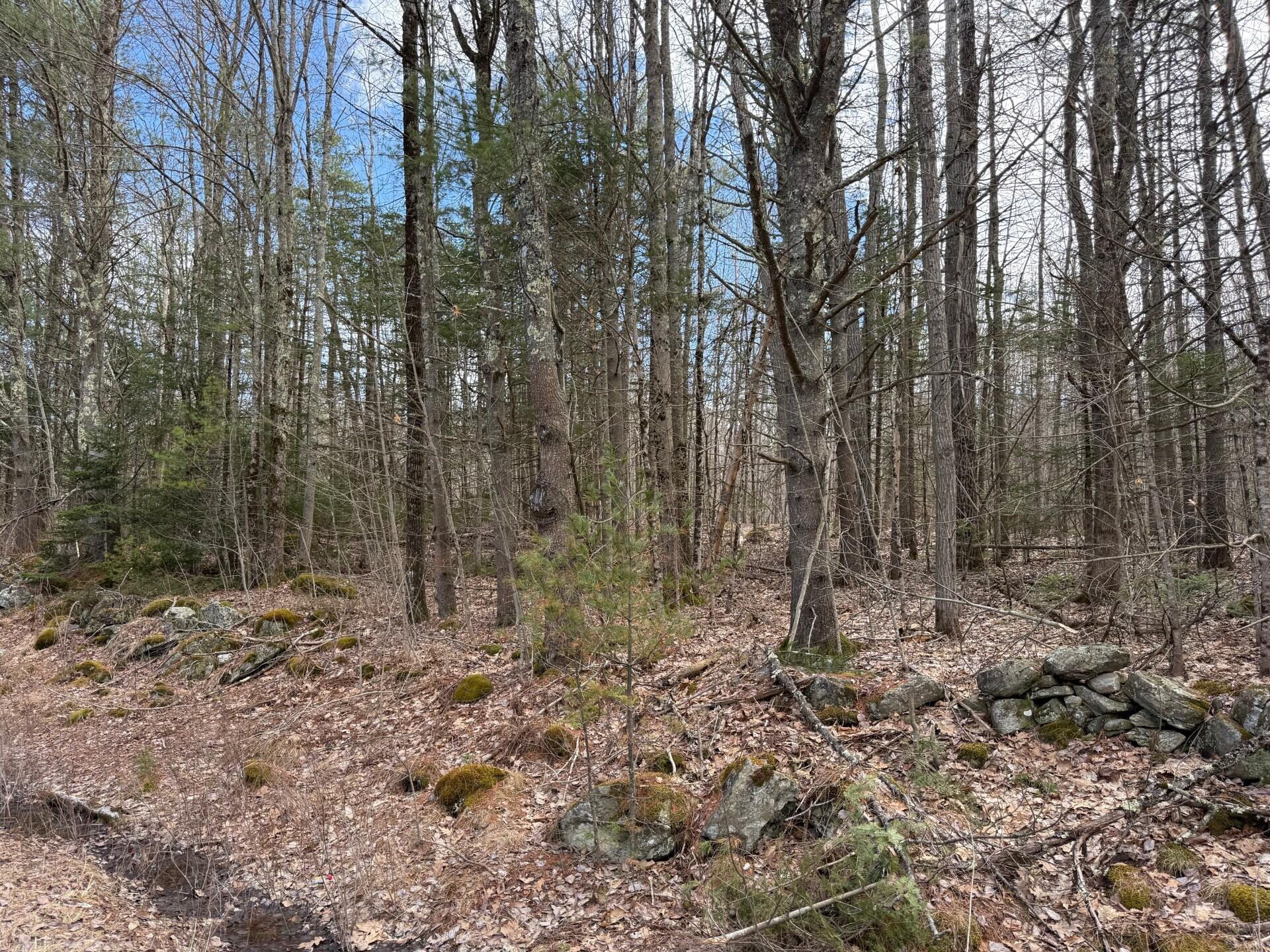 864 Winslows Mills Road Waldoboro, ME 04572 - Photo 2 of 4 8d77cd39-9d60-4711-a86a-4b8686812283