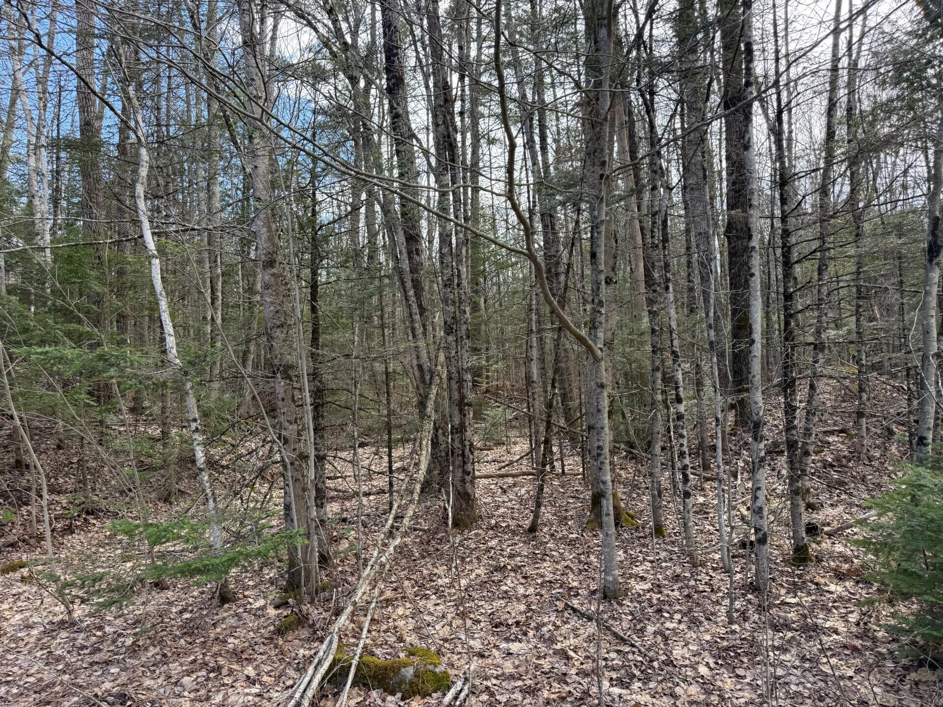 864 Winslows Mills Road Waldoboro, ME 04572 - Photo 3 of 4 355787de-3d6d-4e8f-b28f-5a555e0d1039