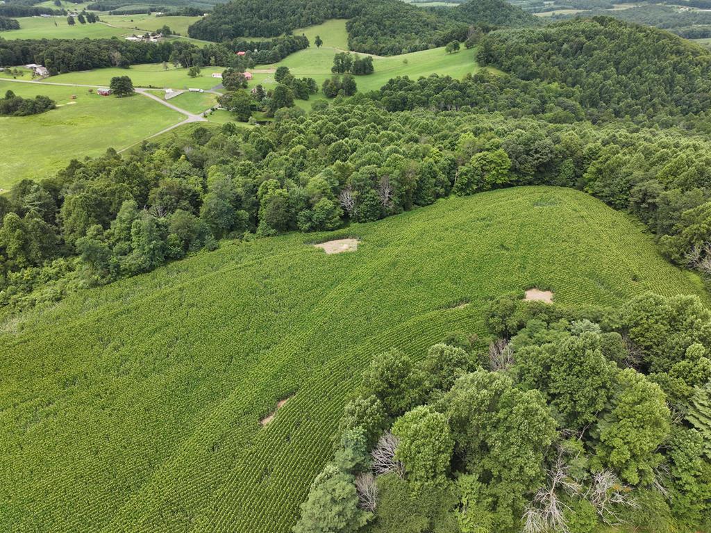 0 Trail Road Meadows Of Dan, VA 24120 - Photo 7 of 13 Gallery Image 7