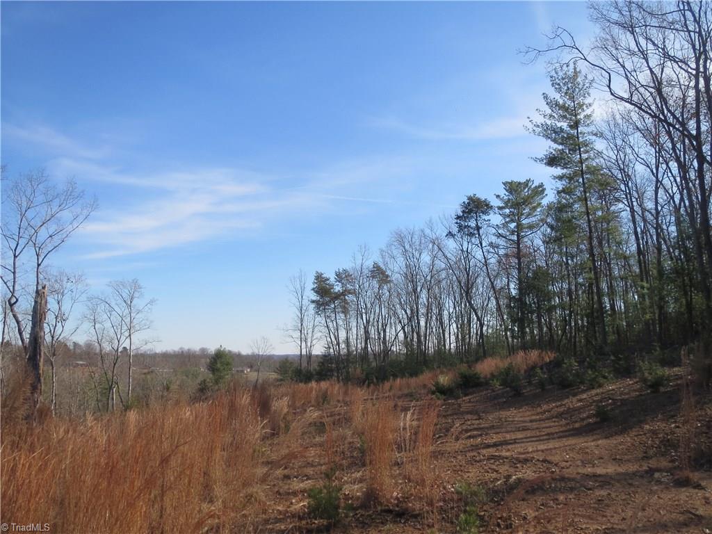 2 Grassy Fork Road Elkin, NC 28621 - Photo 10 of 10 Gallery Image 10