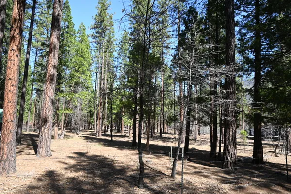 $24,000 | 0 Pine Shadows Road, McArthur, CA 96056
