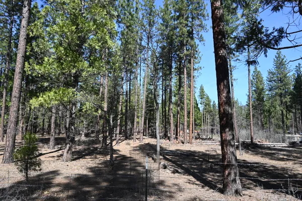 $24,000 | 0 Pine Shadows Road, McArthur, CA 96056