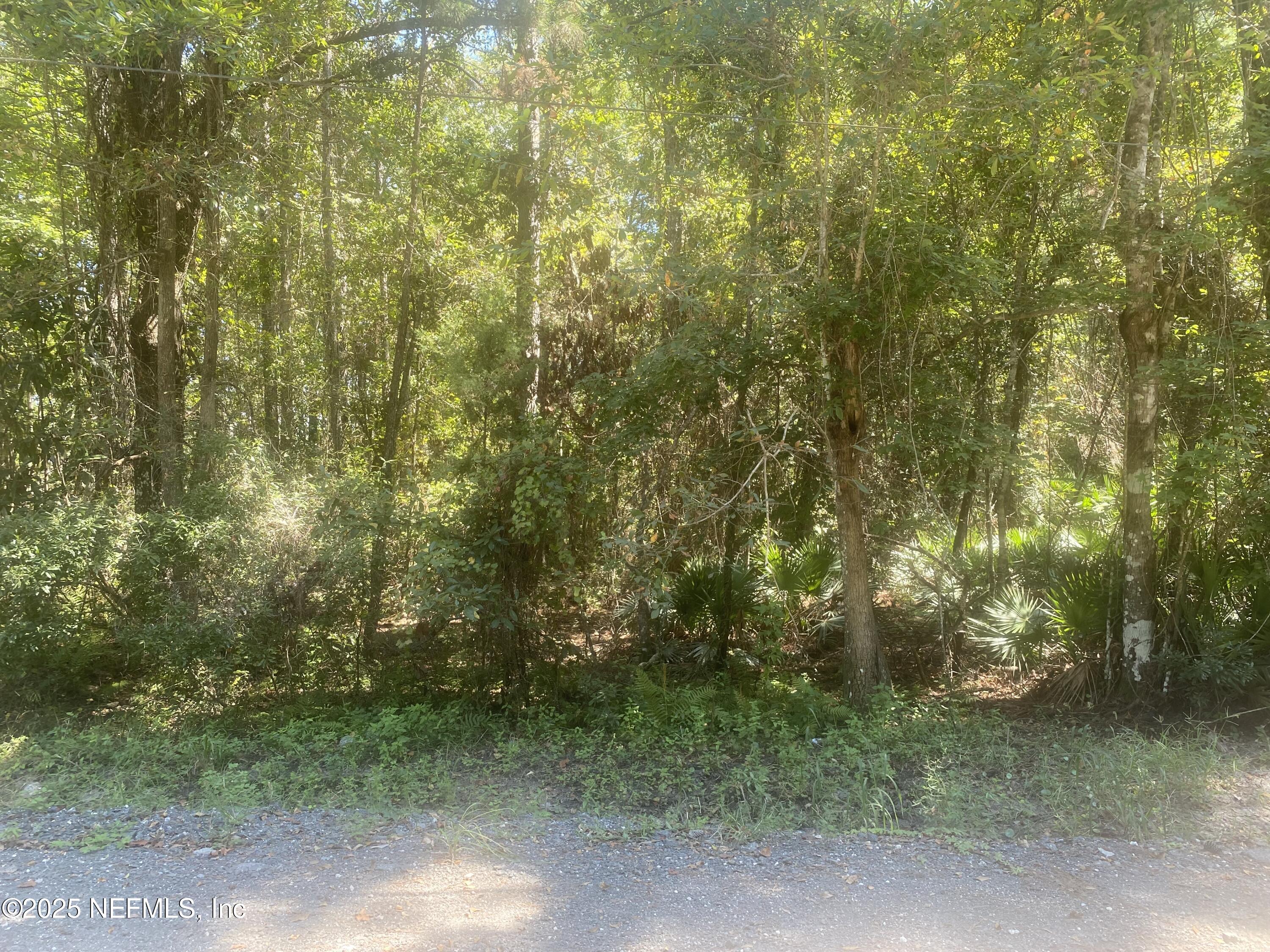 0 Harper Chapel Road Yulee, FL 32097 - Photo 2 of 3 a view of a yard with plants and large trees