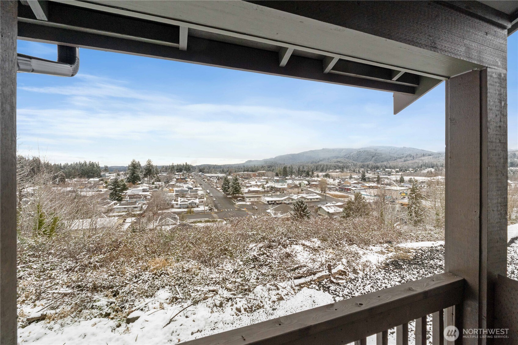 116 Orchard Avenue South, Unit ABCD Eatonville, WA 98328 - Photo 3 of 37 a view of view of city from balcony