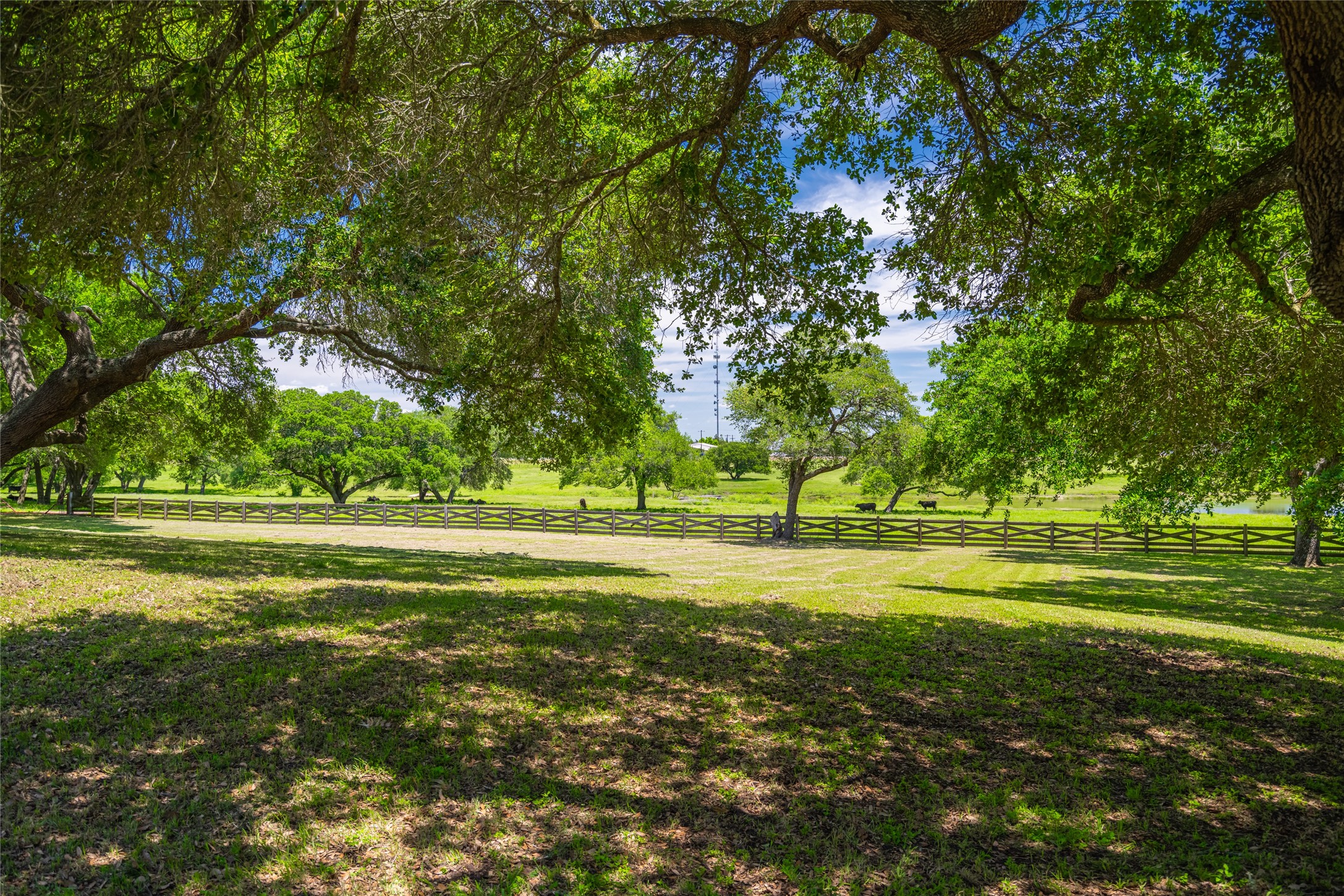 7900 Old Gay Hill Road Brenham, TX 77833 - Photo 28 of 38