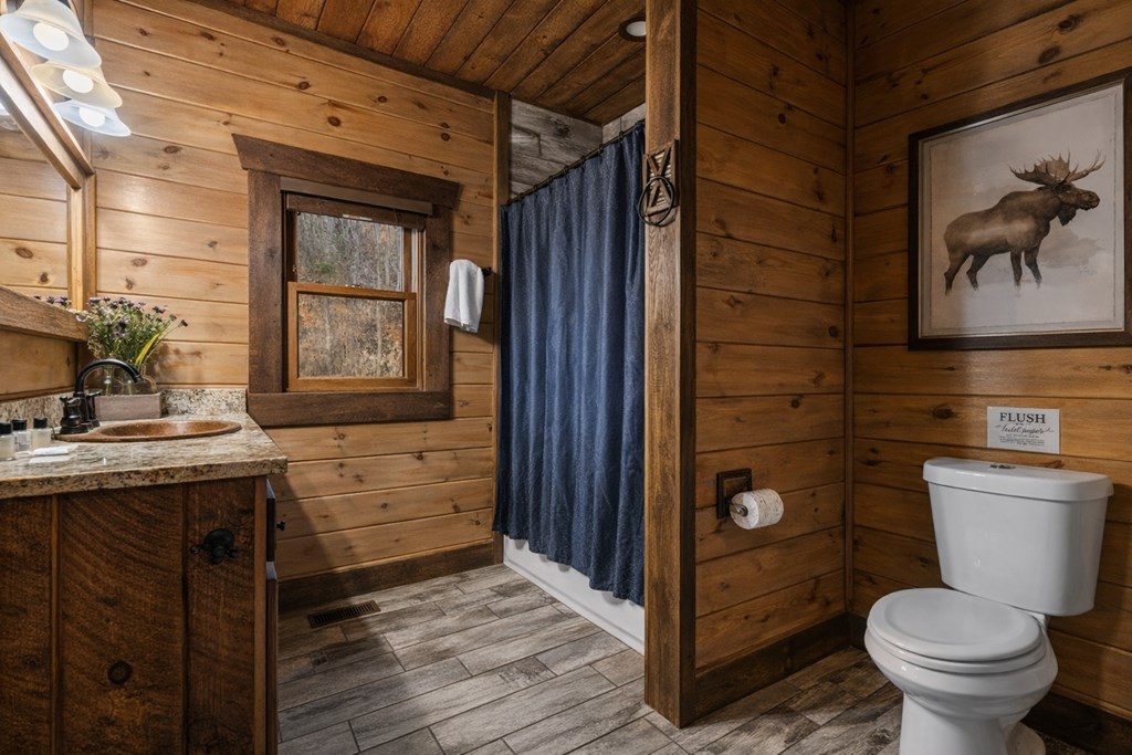 355 West Shalom Court Blue Ridge, GA 30513 - Photo 25 of 44