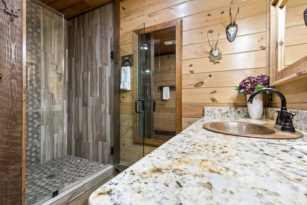 355 West Shalom Court Blue Ridge, GA 30513 - Photo 36 of 44