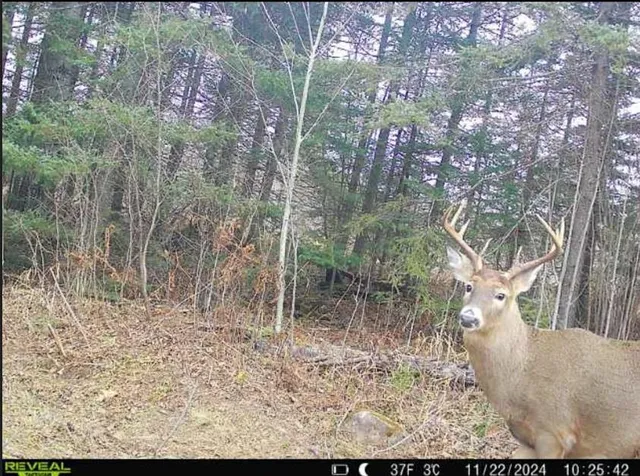 $375,000 | 4202 Zachau Road, Superior, WI 54880