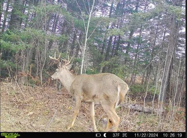 $375,000 | 4202 Zachau Road, Superior, WI 54880