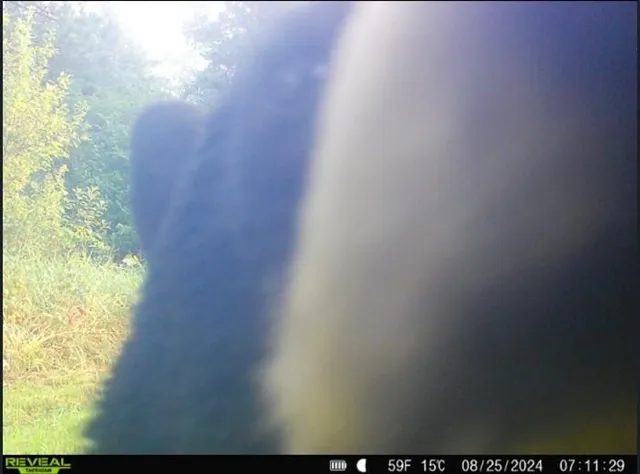 $375,000 | 4202 Zachau Road, Superior, WI 54880