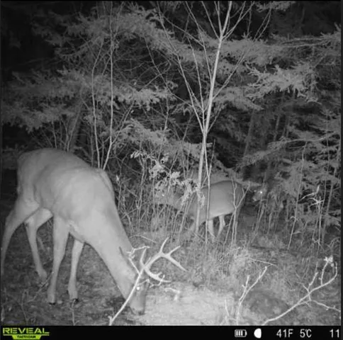 $375,000 | 4202 Zachau Road, Superior, WI 54880