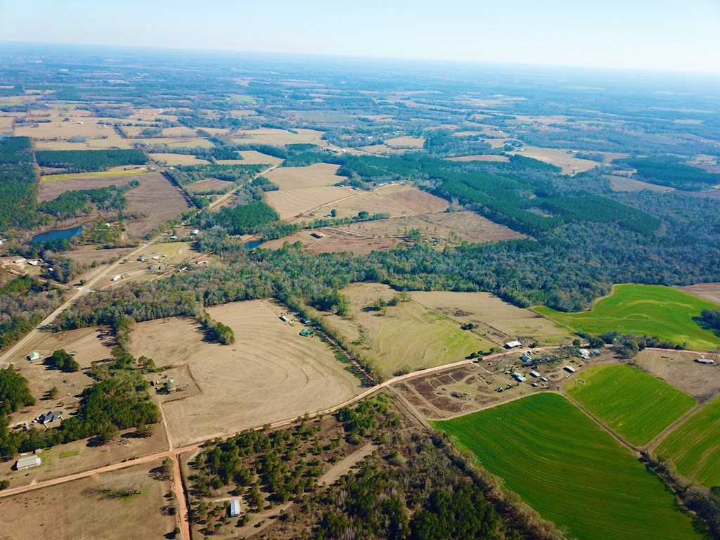 24.6-acres Grant Road Slocomb, AL 36375 - Photo 10 of 17